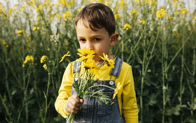 6 Year Old Boy Charged for Picking Flower
